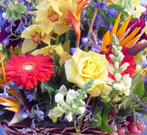 Cornucopia_Gives_Back Cornucopia_Gives_Back
